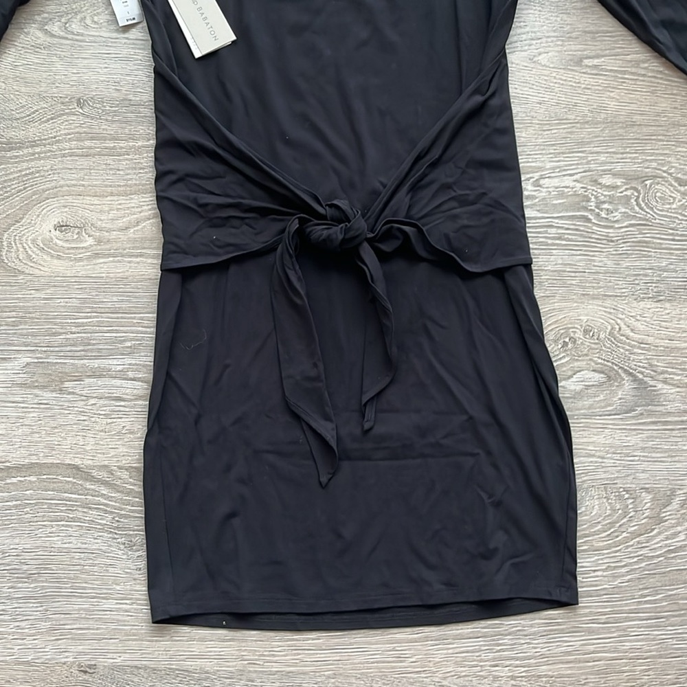 Babaton “Friedan” dress - Picture 4 of 9